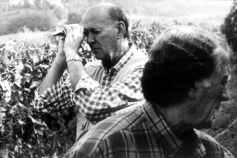 Michele Chiarlo - Rifrattometro