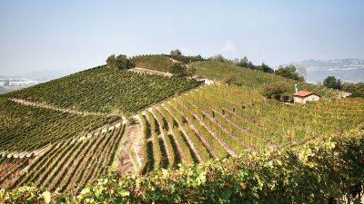 Michele Chiarlo - Cru Faset