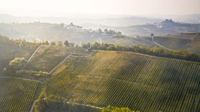 Michele Chiarlo - Vigneto Montemareto