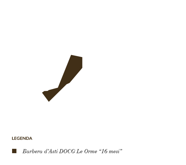 Vigneto Costa delle Monache