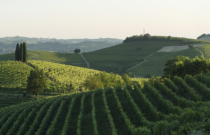 La Tenuta La Court (photo credit Enzo Massa)