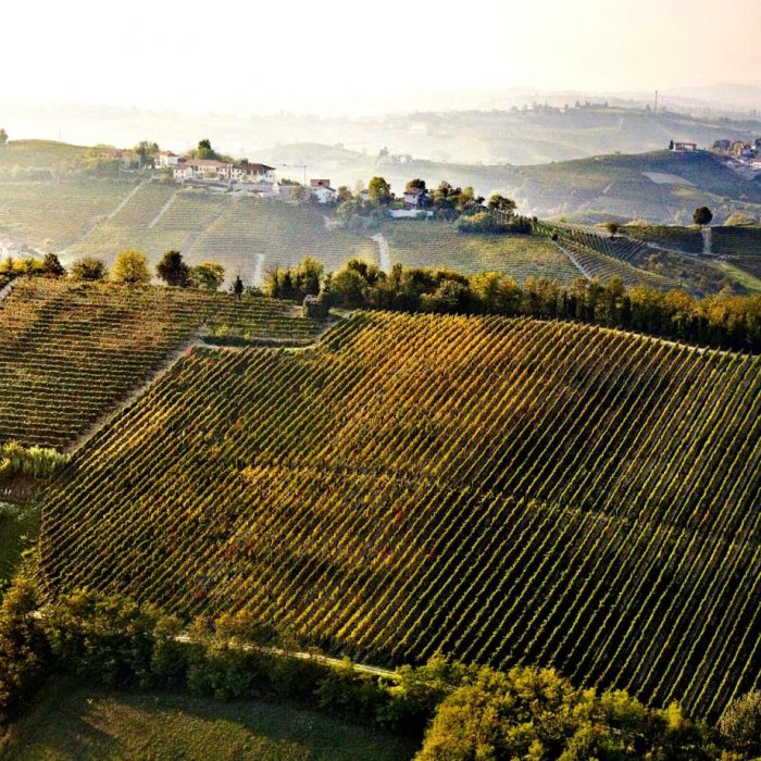 Cru Montemareto Nizza Docg