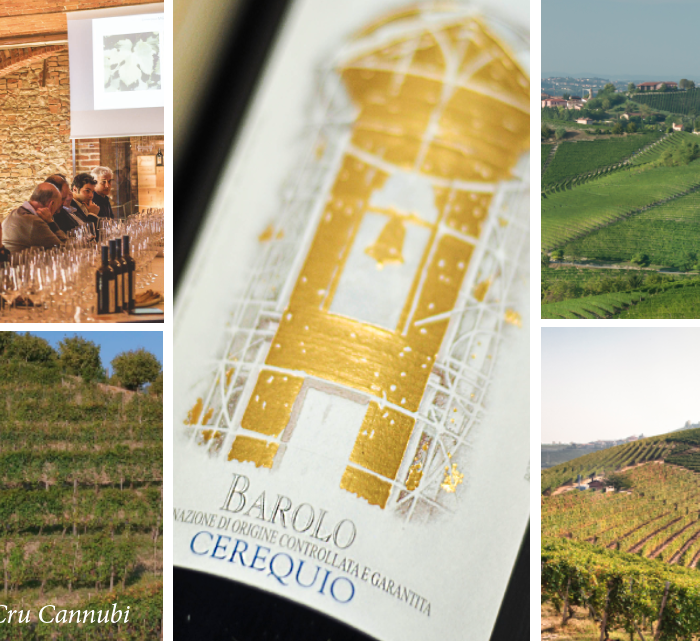 Anteprima Barolo e Barbaresco Chiarlo
