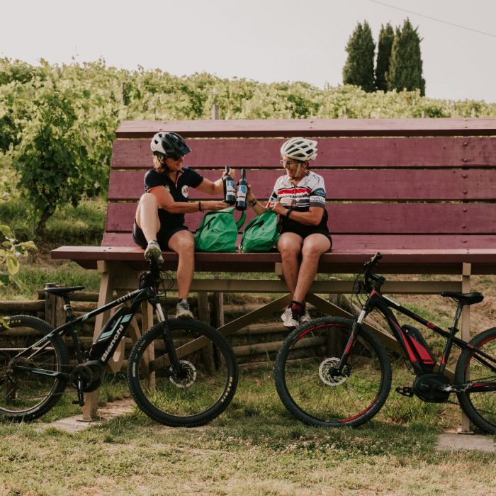 Zaino pic nic La Court