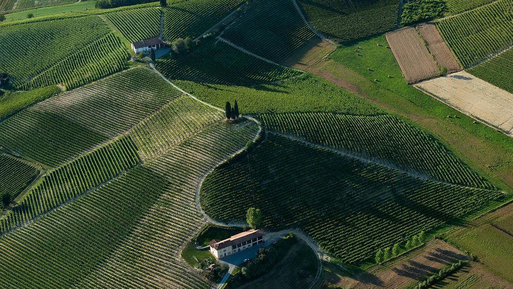 La Court Michele Chiarlo